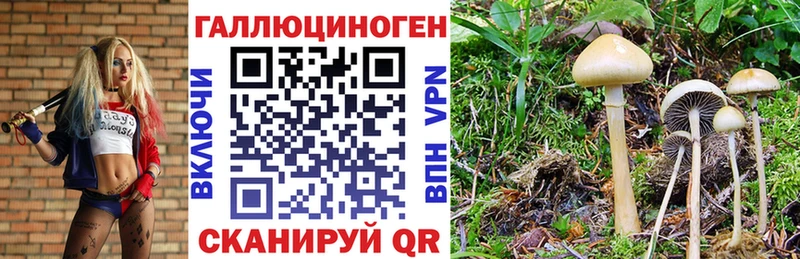 Псилоцибиновые грибы Cubensis  наркотики  MEGA ссылки  Энгельс 
