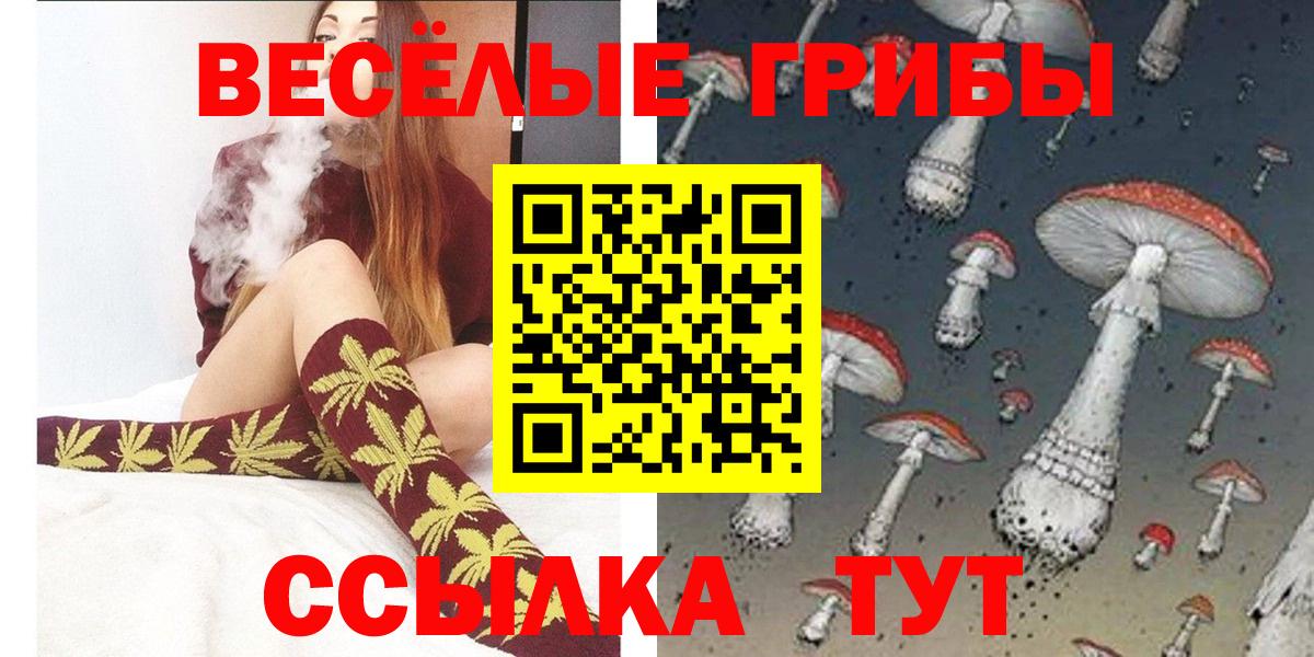 где можно купить   Энгельс  Псилоцибиновые грибы прущие грибы 