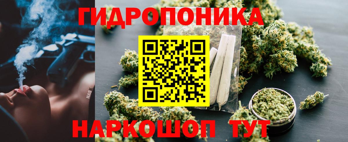 МАРИХУАНА ГИДРОПОН Энгельс